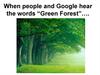When people and Google hear the words “Green Forest”…