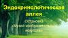 Эндокринологическая аллея. Остановка «Музей изобразительных искусств»