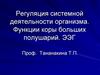 Регуляция системной деятельности организма. Функции коры больших полушарий. ЭЭГ