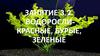 Водоросли- красные, бурые, зеленые.  (Занятие 3.2)