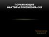 Поражающие факторы. Токсикомания