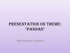 Presentation on theme: "Pandas"