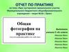 Отчет по практике на тему «Ярус кустарников пришкольного участка Муниципального бюджетного общеобразовательного учреждения»