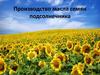 Производство масла из семян подсолнечника