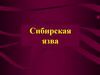 Сибирская язва