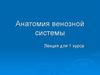 Анатомия венозной системы