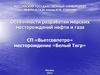 Особенности разработки морских месторождений нефти и газа. СП «Вьетсовпетро». Месторождение «Белый Тигр»