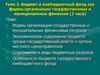 Бюджет и внебюджетный фонд как формы организации государственных и муниципальных финансов