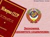 Экономика «развитого социализма»