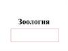 Зоология. Царство Животные. Подцарство Одноклеточные. Тип Простейшие