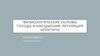 Физиологические основы голода и насщыения. Регуляция аппетита