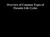 Overview of Common Types of Parasite Life Cycles