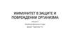 Иммунитет в защите и повреждении организма. (Лекция 6)