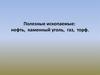 Полезные ископаемые: нефть, каменный уголь, газ, торф