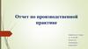 Отчет по производственной практике. ООО «ГеоЦентр»