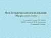 Мои ботанические исследования (Прорастание семян)