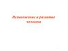 Размножение и развитие человека