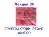 Группы крови. Резус-фактор