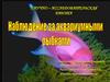 Научно-исследовательская работа. Наблюдение за аквариумными рыбками