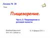 Пищеварение в ротовой полости