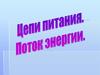 Цепи питания. Поток энергии