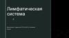 Лимфатическая система