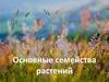 Основные семейства растений