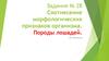Задания № 28. Соотнесение морфологических признаков организма. Породы лошадей. ОГЭ биология