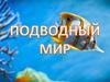 Подводный мир