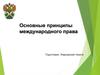Основные принципы международного права