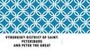 Vyborgsky district of saint-petersburg and Peter the Great