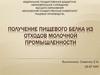 Получение пищевого белка из отходов молочной промышленности