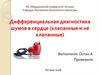 Дифференциальная диагностика шумов в сердце (клапанные и не клапанные)