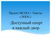 Проект МСОО г. Элисты «ЭПОС». Доступный спорт в каждый двор