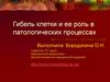 Гибель клетки и ее роль в патологических процессах
