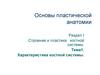 Характеристика костной системы