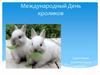 27 сентября - Международный день кролика