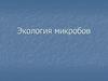 Экология микробов