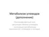 Метаболизм углеводов (дополнение)