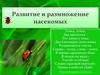 Размножение и развитие насекомых
