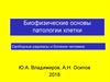 Биофизические основы патологии клетки. Свободные радикалы и болезни человека