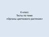 Тесты по теме «Органы цветкового растения»