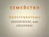 Семейство Крестоцветные
