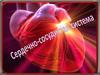 Сердечно-сосудистая система