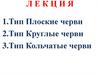 Тип Плоские черви.Тип Круглые черви.Тип Кольчатые черви