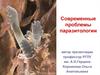 Современные проблемы паразитологии