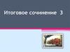 Итоговое сочинение 3