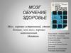 Мозг. Обучение. Здоровье