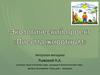 Экологический проект «Письма животным»