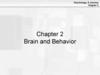 Brain and Behavior